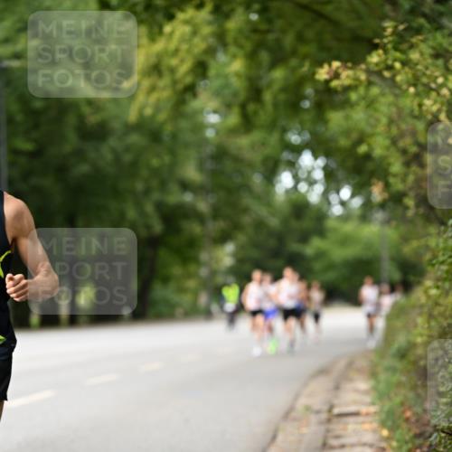 06.09.2026 - CURREX Alsterlauf Dr. Thomas Lammeyer http://msf.ph/oto/10113120 06.09.2026 09:04:16 Laufen  meine-sportfotos.de
