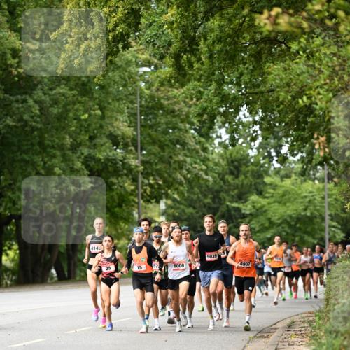 06.09.2026 - CURREX Alsterlauf Dr. Thomas Lammeyer http://msf.ph/oto/10113270 06.09.2026 09:04:41 Laufen 4145, 5039, 25, 15, 57, 6000, 4907 meine-sportfotos.de