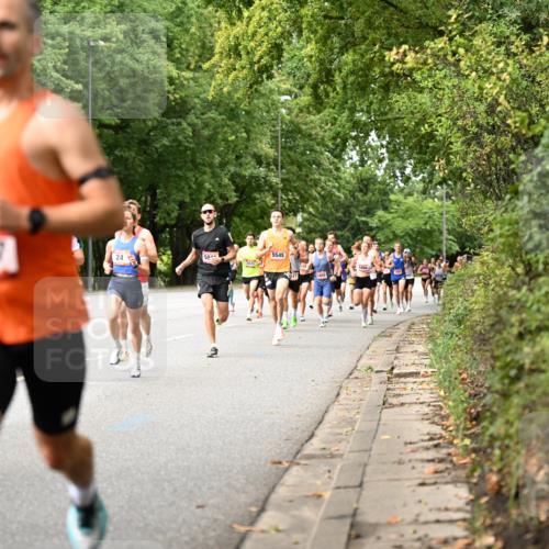 06.09.2026 - CURREX Alsterlauf Dr. Thomas Lammeyer http://msf.ph/oto/10113304 06.09.2026 09:04:48 Laufen 24, 50, 3035, 5545, 5994, 5455 meine-sportfotos.de