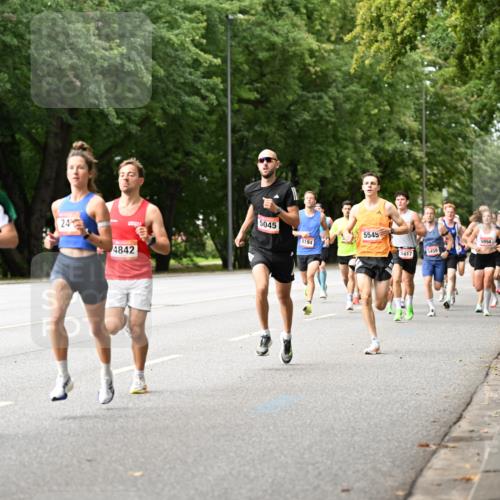 06.09.2026 - CURREX Alsterlauf Dr. Thomas Lammeyer http://msf.ph/oto/10113311 06.09.2026 09:04:49 Laufen 5304, 24, 4842, 5045, 5545, 8194, 5994, 5617, 5455 meine-sportfotos.de