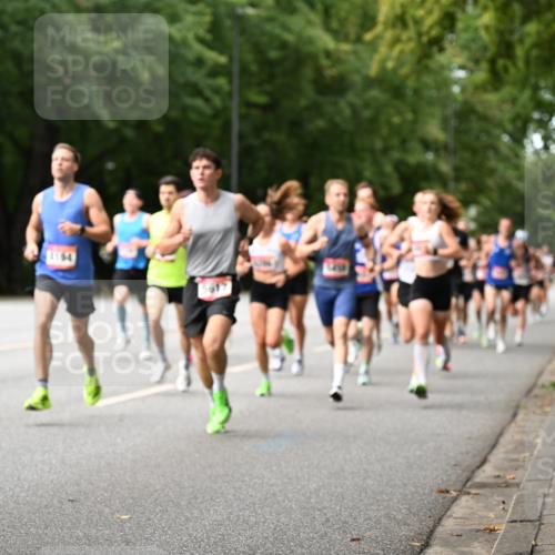 06.09.2026 - CURREX Alsterlauf Dr. Thomas Lammeyer http://msf.ph/oto/10113330 06.09.2026 09:04:52 Laufen  meine-sportfotos.de
