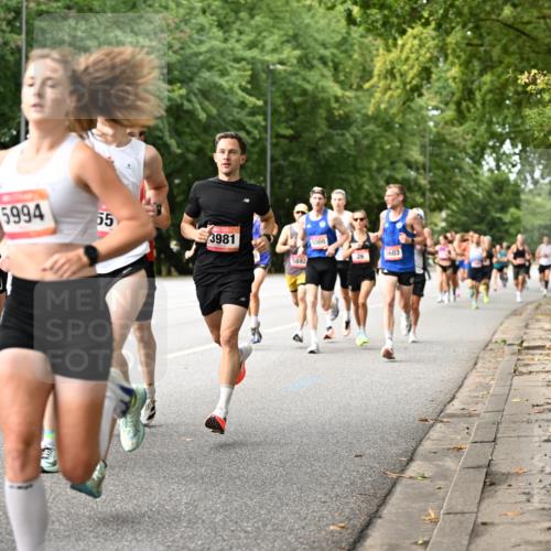 06.09.2026 - CURREX Alsterlauf Dr. Thomas Lammeyer http://msf.ph/oto/10113350 06.09.2026 09:04:55 Laufen 5416, 5994, 55, 3981, 63, 5892, 5008, 5603 meine-sportfotos.de