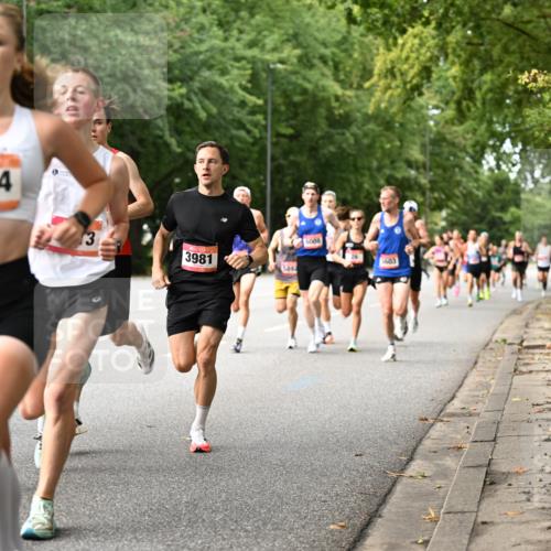 06.09.2026 - CURREX Alsterlauf Dr. Thomas Lammeyer http://msf.ph/oto/10113351 06.09.2026 09:04:55 Laufen 418, 5994, 6008, 3, 3981, 5603 meine-sportfotos.de