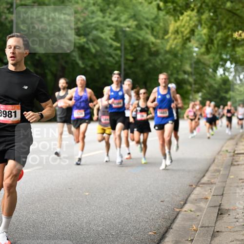 06.09.2026 - CURREX Alsterlauf Dr. Thomas Lammeyer http://msf.ph/oto/10113356 06.09.2026 09:04:56 Laufen 3981 meine-sportfotos.de