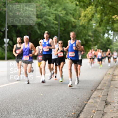 06.09.2026 - CURREX Alsterlauf Dr. Thomas Lammeyer http://msf.ph/oto/10113359 06.09.2026 09:04:56 Laufen  meine-sportfotos.de