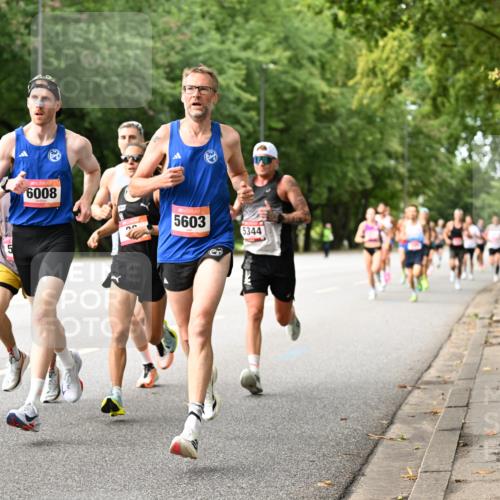 06.09.2026 - CURREX Alsterlauf Dr. Thomas Lammeyer http://msf.ph/oto/10113366 06.09.2026 09:04:57 Laufen 5538, 6008, 5603, 5344 meine-sportfotos.de