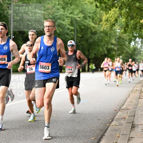 06.09.2026 - CURREX Alsterlauf Dr. Thomas Lammeyer http://msf.ph/oto/10113367 06.09.2026 09:04:57 Laufen 6008, 26, 5603, 5344 meine-sportfotos.de