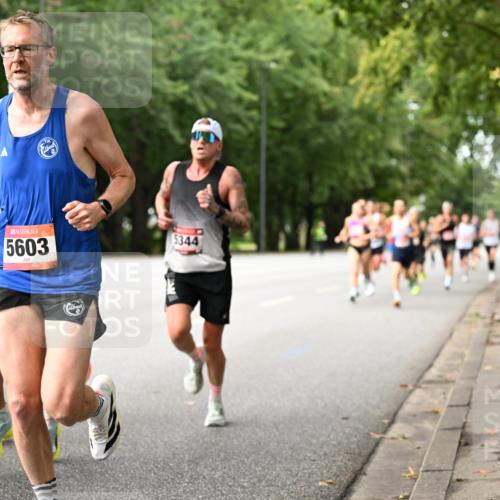 06.09.2026 - CURREX Alsterlauf Dr. Thomas Lammeyer http://msf.ph/oto/10113369 06.09.2026 09:04:58 Laufen 5603, 5344 meine-sportfotos.de