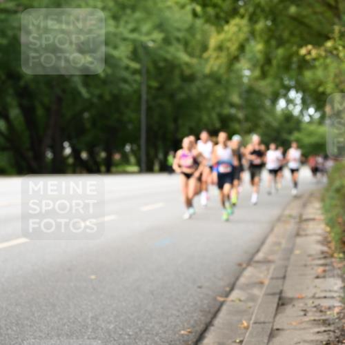 06.09.2026 - CURREX Alsterlauf Dr. Thomas Lammeyer http://msf.ph/oto/10113375 06.09.2026 09:04:58 Laufen  meine-sportfotos.de