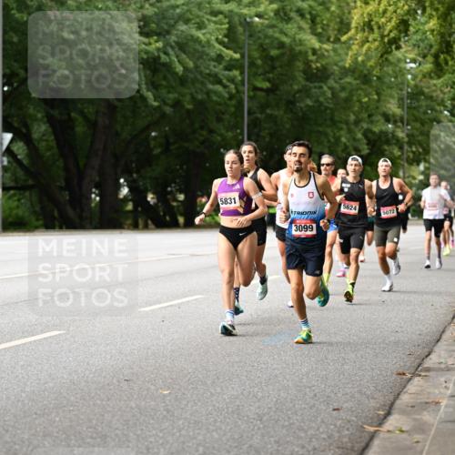06.09.2026 - CURREX Alsterlauf Dr. Thomas Lammeyer http://msf.ph/oto/10113380 06.09.2026 09:05:00 Laufen 5831, 3099, 5624, 5072 meine-sportfotos.de