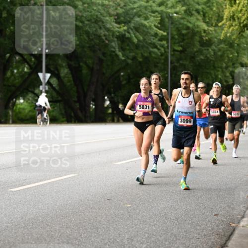 06.09.2026 - CURREX Alsterlauf Dr. Thomas Lammeyer http://msf.ph/oto/10113382 06.09.2026 09:05:00 Laufen 5831, 3099, 5624, 5072 meine-sportfotos.de