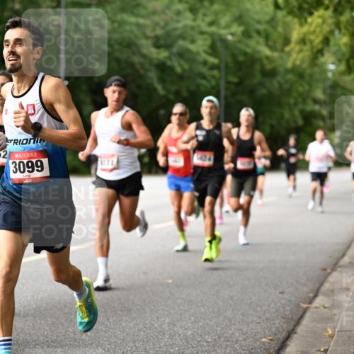 06.09.2026 - CURREX Alsterlauf Dr. Thomas Lammeyer http://msf.ph/oto/10113392 06.09.2026 09:05:01 Laufen 831, 5452, 3099 meine-sportfotos.de
