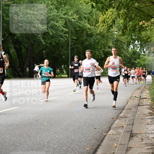 06.09.2026 - CURREX Alsterlauf Dr. Thomas Lammeyer http://msf.ph/oto/10113406 06.09.2026 09:05:03 Laufen 6006, 6005, 8151, 64, 6074, 5972 meine-sportfotos.de