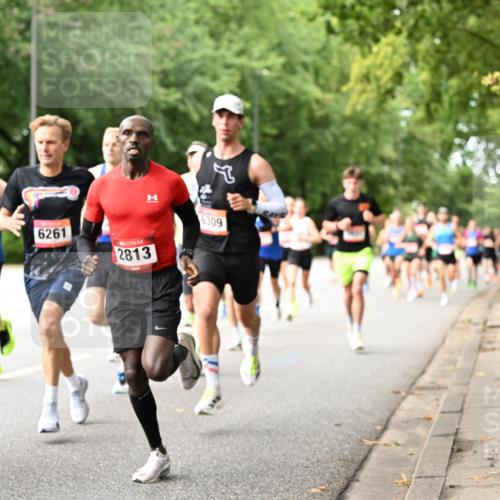 06.09.2026 - CURREX Alsterlauf Dr. Thomas Lammeyer http://msf.ph/oto/10113504 06.09.2026 09:05:19 Laufen 2011, 6261, 2813, 6309 meine-sportfotos.de