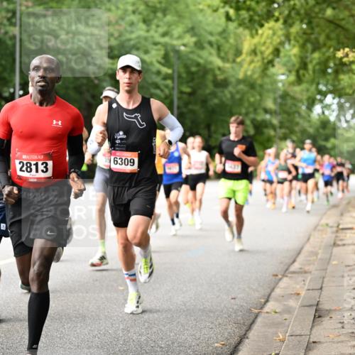 06.09.2026 - CURREX Alsterlauf Dr. Thomas Lammeyer http://msf.ph/oto/10113505 06.09.2026 09:05:20 Laufen 8011, 6261, 2813, 6309 meine-sportfotos.de