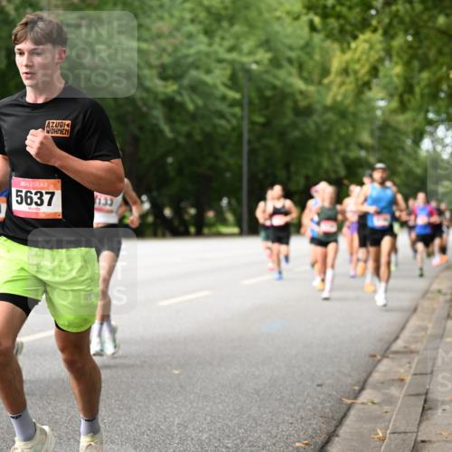 06.09.2026 - CURREX Alsterlauf Dr. Thomas Lammeyer http://msf.ph/oto/10113519 06.09.2026 09:05:21 Laufen 5637, 133 meine-sportfotos.de