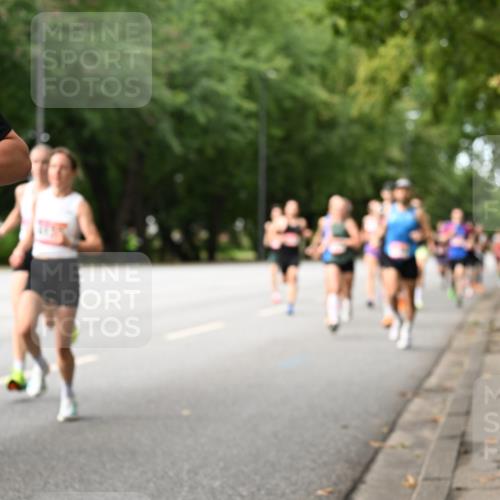 06.09.2026 - CURREX Alsterlauf Dr. Thomas Lammeyer http://msf.ph/oto/10113521 06.09.2026 09:05:22 Laufen 537 meine-sportfotos.de