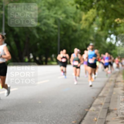 06.09.2026 - CURREX Alsterlauf Dr. Thomas Lammeyer http://msf.ph/oto/10113522 06.09.2026 09:05:22 Laufen  meine-sportfotos.de