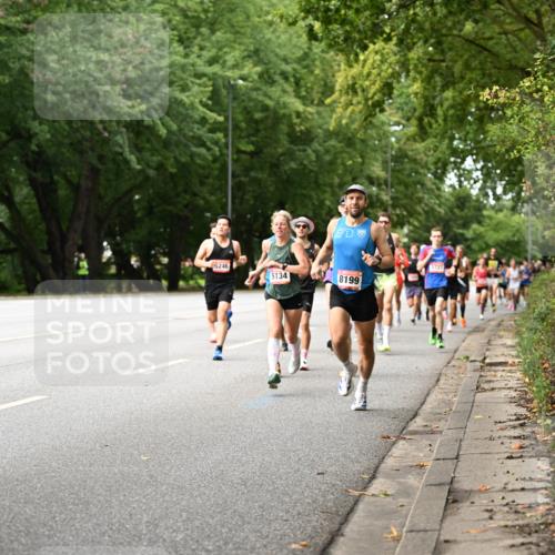 06.09.2026 - CURREX Alsterlauf Dr. Thomas Lammeyer http://msf.ph/oto/10113526 06.09.2026 09:05:22 Laufen 5246, 5134, 8199 meine-sportfotos.de