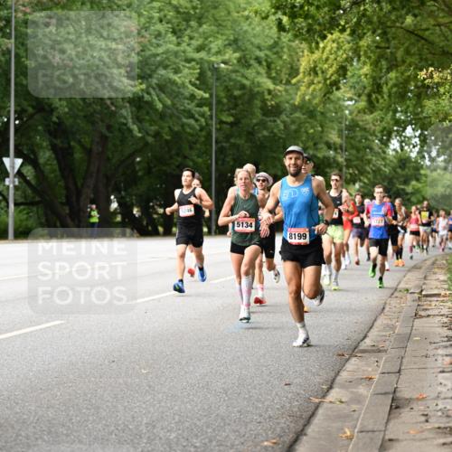 06.09.2026 - CURREX Alsterlauf Dr. Thomas Lammeyer http://msf.ph/oto/10113528 06.09.2026 09:05:23 Laufen 5246, 5134, 8199, 5727 meine-sportfotos.de