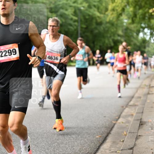 06.09.2026 - CURREX Alsterlauf Dr. Thomas Lammeyer http://msf.ph/oto/10113570 06.09.2026 09:05:29 Laufen 565, 2299, 4636 meine-sportfotos.de