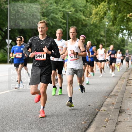 06.09.2026 - CURREX Alsterlauf Dr. Thomas Lammeyer http://msf.ph/oto/10113600 06.09.2026 09:05:33 Laufen 2214, 5441, 5739 meine-sportfotos.de