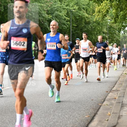 06.09.2026 - CURREX Alsterlauf Dr. Thomas Lammeyer http://msf.ph/oto/10113613 06.09.2026 09:05:35 Laufen 5024, 2727, 5602, 5189, 4698, 5996, 5464, 4163, 610 meine-sportfotos.de