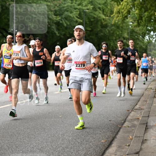 06.09.2026 - CURREX Alsterlauf Dr. Thomas Lammeyer http://msf.ph/oto/10113639 06.09.2026 09:05:39 Laufen 2131, 5639, 2379, 2739, 5803, 2378, 058, 4074, 5612 meine-sportfotos.de