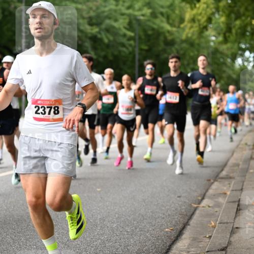 06.09.2026 - CURREX Alsterlauf Dr. Thomas Lammeyer http://msf.ph/oto/10113644 06.09.2026 09:05:40 Laufen 56, 2378, 412 meine-sportfotos.de