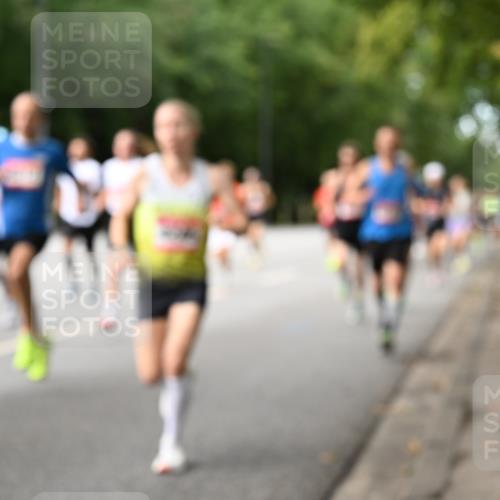06.09.2026 - CURREX Alsterlauf Dr. Thomas Lammeyer http://msf.ph/oto/10113663 06.09.2026 09:05:42 Laufen  meine-sportfotos.de
