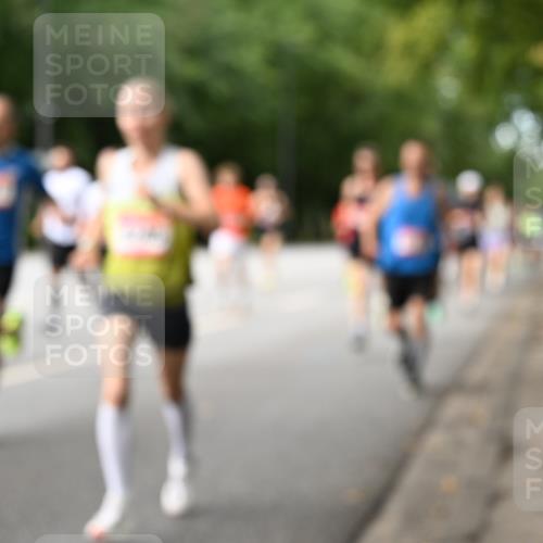 06.09.2026 - CURREX Alsterlauf Dr. Thomas Lammeyer http://msf.ph/oto/10113664 06.09.2026 09:05:43 Laufen  meine-sportfotos.de