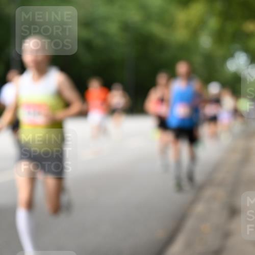 06.09.2026 - CURREX Alsterlauf Dr. Thomas Lammeyer http://msf.ph/oto/10113665 06.09.2026 09:05:43 Laufen  meine-sportfotos.de