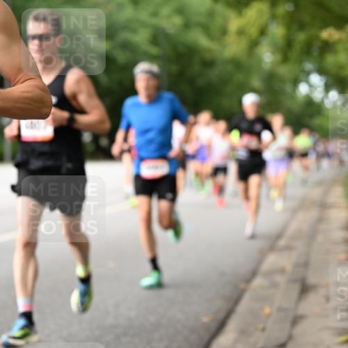 06.09.2026 - CURREX Alsterlauf Dr. Thomas Lammeyer http://msf.ph/oto/10113679 06.09.2026 09:05:45 Laufen  meine-sportfotos.de