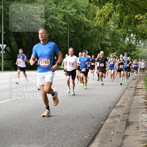 06.09.2026 - CURREX Alsterlauf Dr. Thomas Lammeyer http://msf.ph/oto/10113729 06.09.2026 09:05:52 Laufen 8, 6370, 5783, 6136, 151, 5322, 4243, 3972, 5105 meine-sportfotos.de