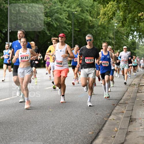 06.09.2026 - CURREX Alsterlauf Dr. Thomas Lammeyer http://msf.ph/oto/10113780 06.09.2026 09:05:59 Laufen 831, 3, 6127, 641, 2723, 2604, 6024, 5956 meine-sportfotos.de