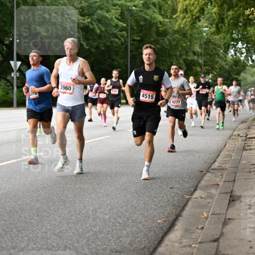 06.09.2026 - CURREX Alsterlauf Dr. Thomas Lammeyer http://msf.ph/oto/10113860 06.09.2026 09:06:12 Laufen 373, 3960, 4535, 6381, 4515, 4277, 11, 3714 meine-sportfotos.de
