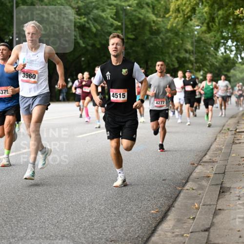 06.09.2026 - CURREX Alsterlauf Dr. Thomas Lammeyer http://msf.ph/oto/10113863 06.09.2026 09:06:13 Laufen 6375, 3960, 4515, 11, 4277 meine-sportfotos.de