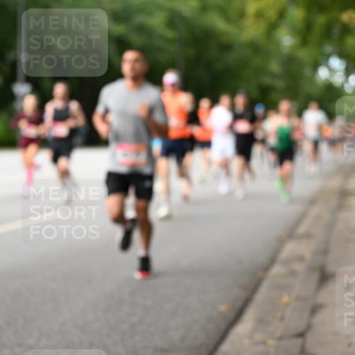 06.09.2026 - CURREX Alsterlauf Dr. Thomas Lammeyer http://msf.ph/oto/10113873 06.09.2026 09:06:14 Laufen  meine-sportfotos.de