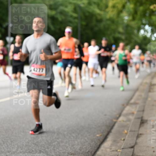 06.09.2026 - CURREX Alsterlauf Dr. Thomas Lammeyer http://msf.ph/oto/10113875 06.09.2026 09:06:14 Laufen 4277 meine-sportfotos.de