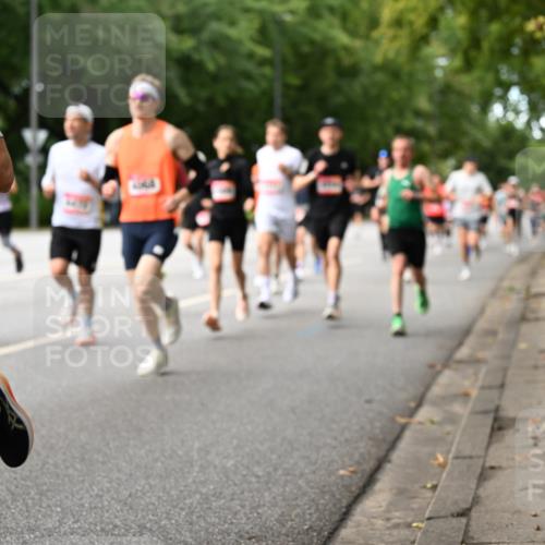 06.09.2026 - CURREX Alsterlauf Dr. Thomas Lammeyer http://msf.ph/oto/10113879 06.09.2026 09:06:15 Laufen 277 meine-sportfotos.de
