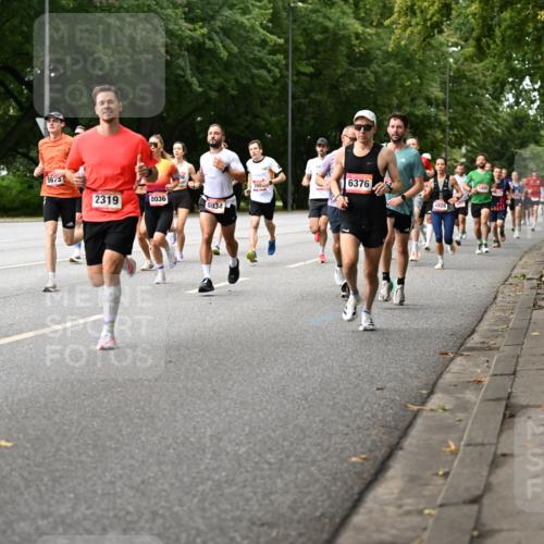06.09.2026 - CURREX Alsterlauf Dr. Thomas Lammeyer http://msf.ph/oto/10113924 06.09.2026 09:06:22 Laufen 563, 2319, 8036, 5034, 390, 6376, 4928 meine-sportfotos.de