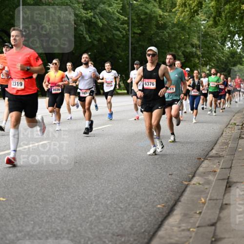 06.09.2026 - CURREX Alsterlauf Dr. Thomas Lammeyer http://msf.ph/oto/10113925 06.09.2026 09:06:22 Laufen 2319, 8036, 5034, 3905, 6376, 511, 4928, 5805 meine-sportfotos.de