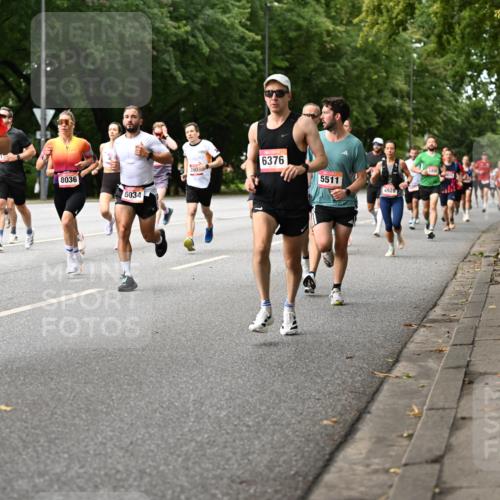 06.09.2026 - CURREX Alsterlauf Dr. Thomas Lammeyer http://msf.ph/oto/10113928 06.09.2026 09:06:22 Laufen 2319, 4110, 8036, 5034, 390, 6376, 5511, 4928, 5806 meine-sportfotos.de