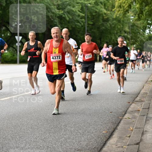 06.09.2026 - CURREX Alsterlauf Dr. Thomas Lammeyer http://msf.ph/oto/10114009 06.09.2026 09:06:34 Laufen 63, 4372, 61, 4331, 6388 meine-sportfotos.de