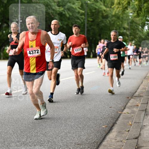 06.09.2026 - CURREX Alsterlauf Dr. Thomas Lammeyer http://msf.ph/oto/10114012 06.09.2026 09:06:35 Laufen 63, 4372, 1, 4331, 6388 meine-sportfotos.de