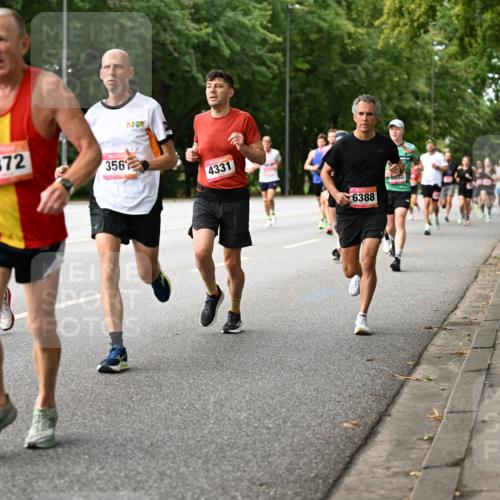 06.09.2026 - CURREX Alsterlauf Dr. Thomas Lammeyer http://msf.ph/oto/10114014 06.09.2026 09:06:35 Laufen 4372, 356, 4331, 6388 meine-sportfotos.de