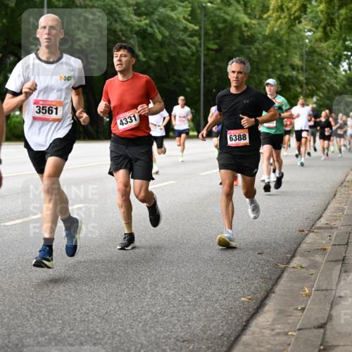 06.09.2026 - CURREX Alsterlauf Dr. Thomas Lammeyer http://msf.ph/oto/10114016 06.09.2026 09:06:35 Laufen 372, 3561, 4331, 6388 meine-sportfotos.de