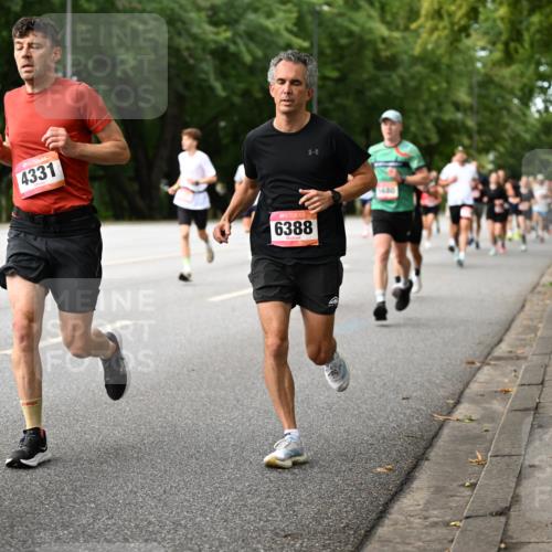 06.09.2026 - CURREX Alsterlauf Dr. Thomas Lammeyer http://msf.ph/oto/10114021 06.09.2026 09:06:36 Laufen 4331, 6388, 56, 80 meine-sportfotos.de