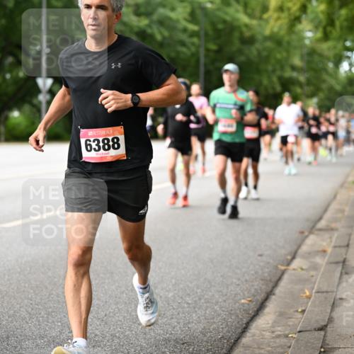 06.09.2026 - CURREX Alsterlauf Dr. Thomas Lammeyer http://msf.ph/oto/10114024 06.09.2026 09:06:37 Laufen 6388 meine-sportfotos.de
