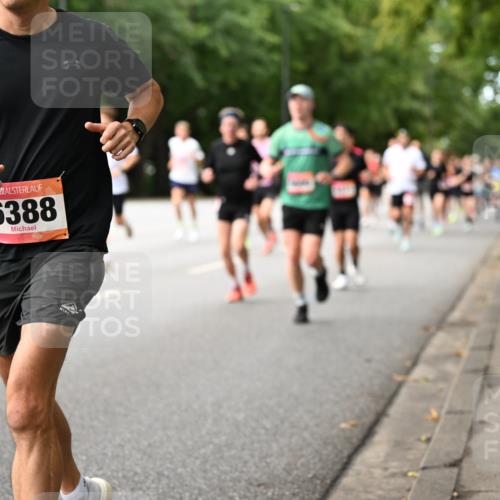 06.09.2026 - CURREX Alsterlauf Dr. Thomas Lammeyer http://msf.ph/oto/10114026 06.09.2026 09:06:37 Laufen 6388 meine-sportfotos.de